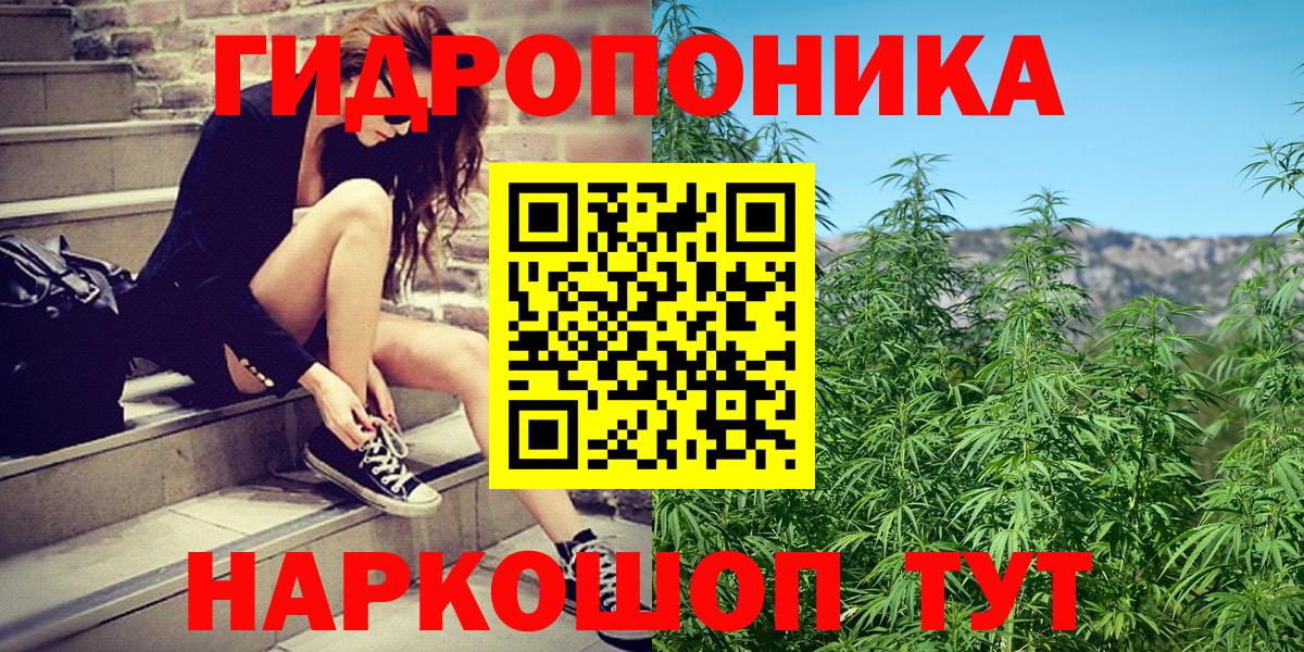 Канабис планчик Омск